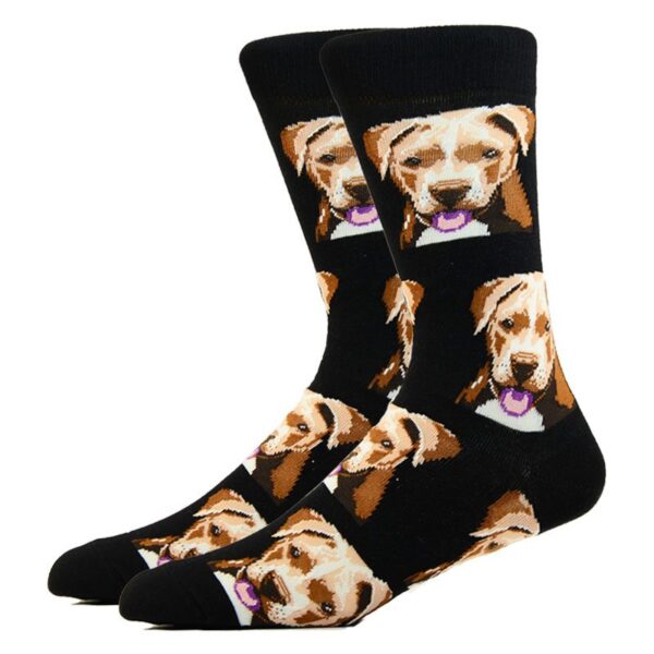 Hund kule-sokker